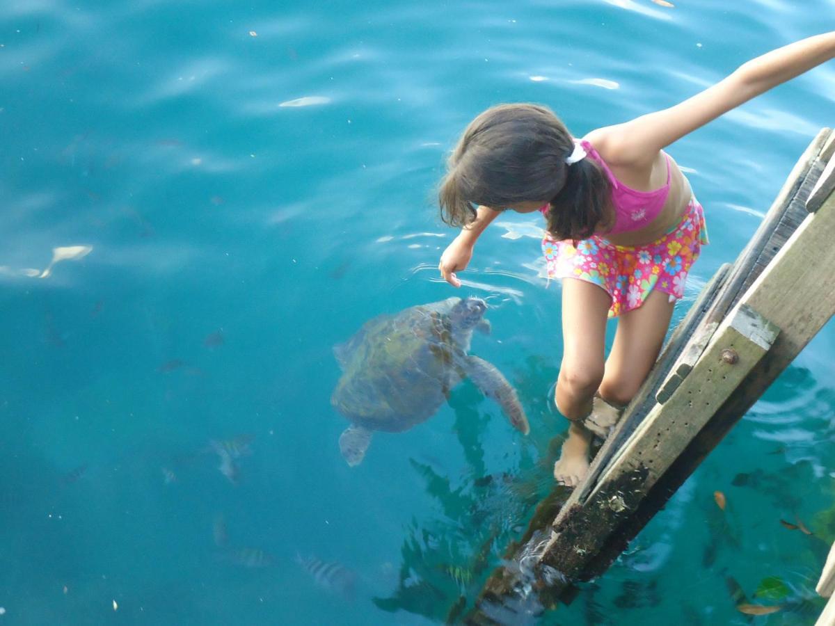 Pousada Cruzoe Praia de Araçatiba エクステリア 写真